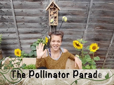 pollinator parade organiser with bee antenna